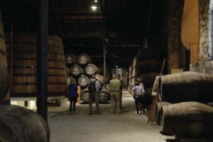 Caves de Vinho do Porto para empresas