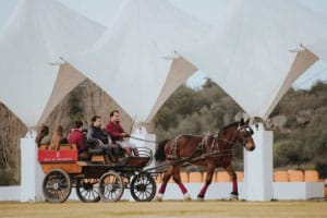 batismo de atrelagem para empresas